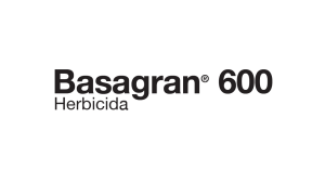 Basagran 600 - 0